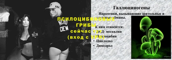 меф Майский