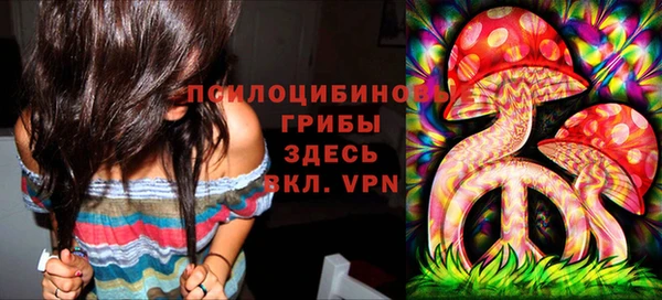 меф Майский