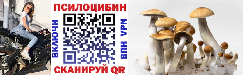 Купить  Кузнецк  Галлюциногенные грибы мицелий 
